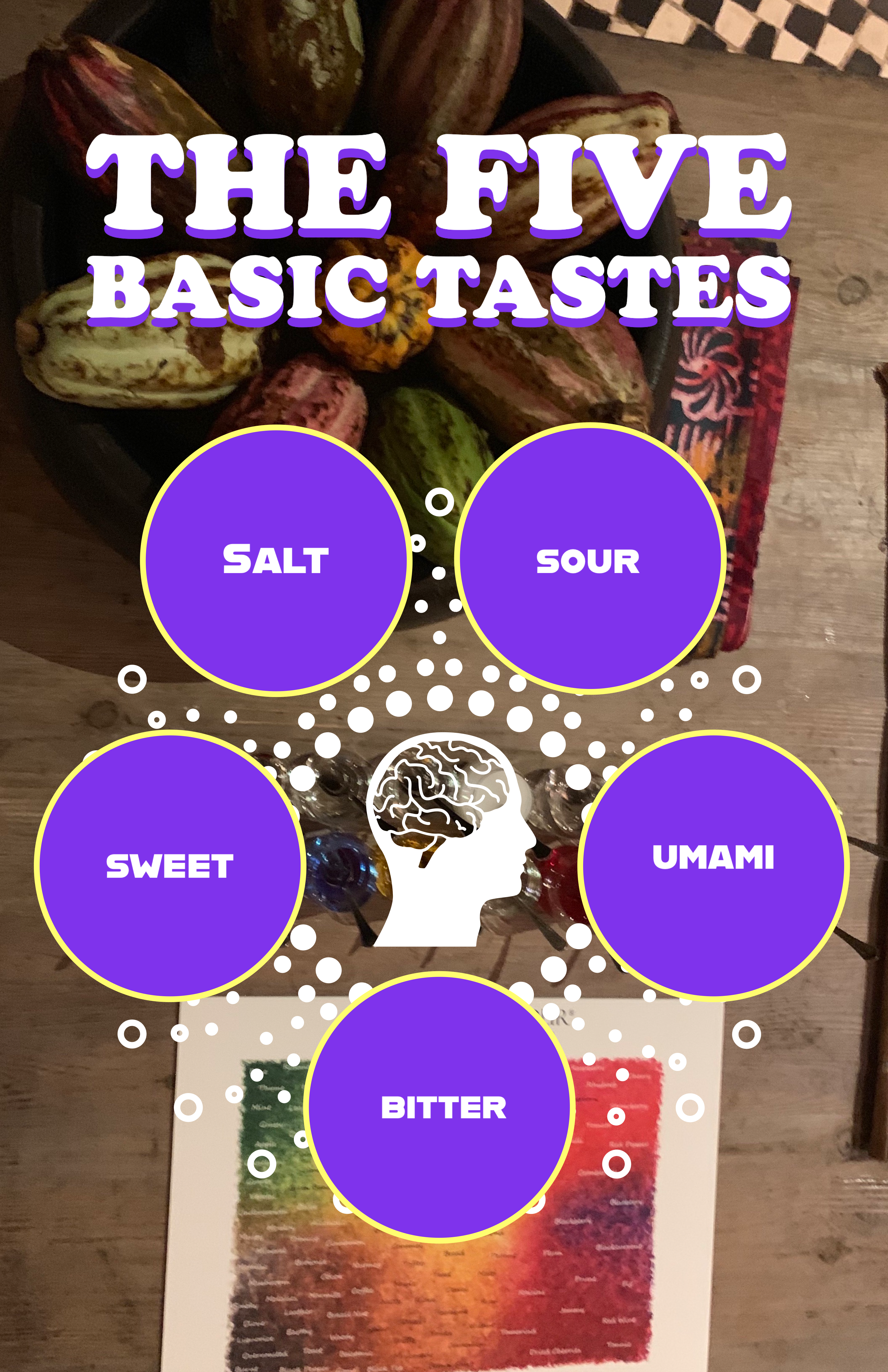 the five basic taste